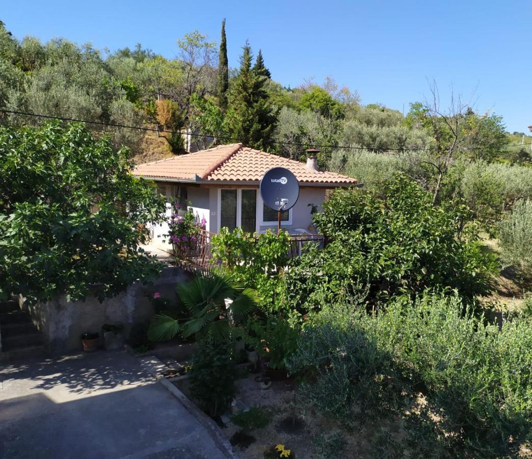 Lili House Daire Portorož Dış mekan fotoğraf